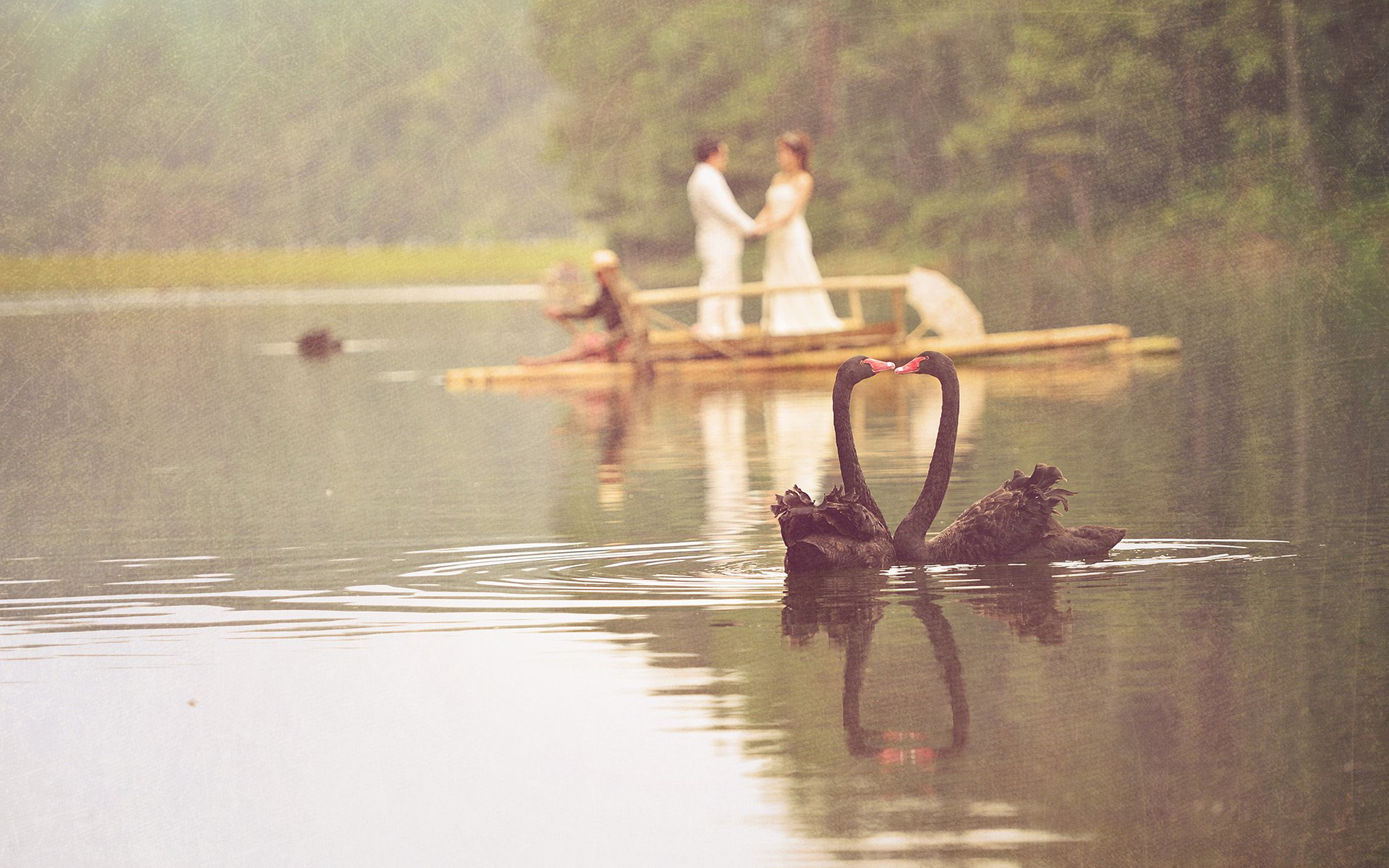 Phuket photographer