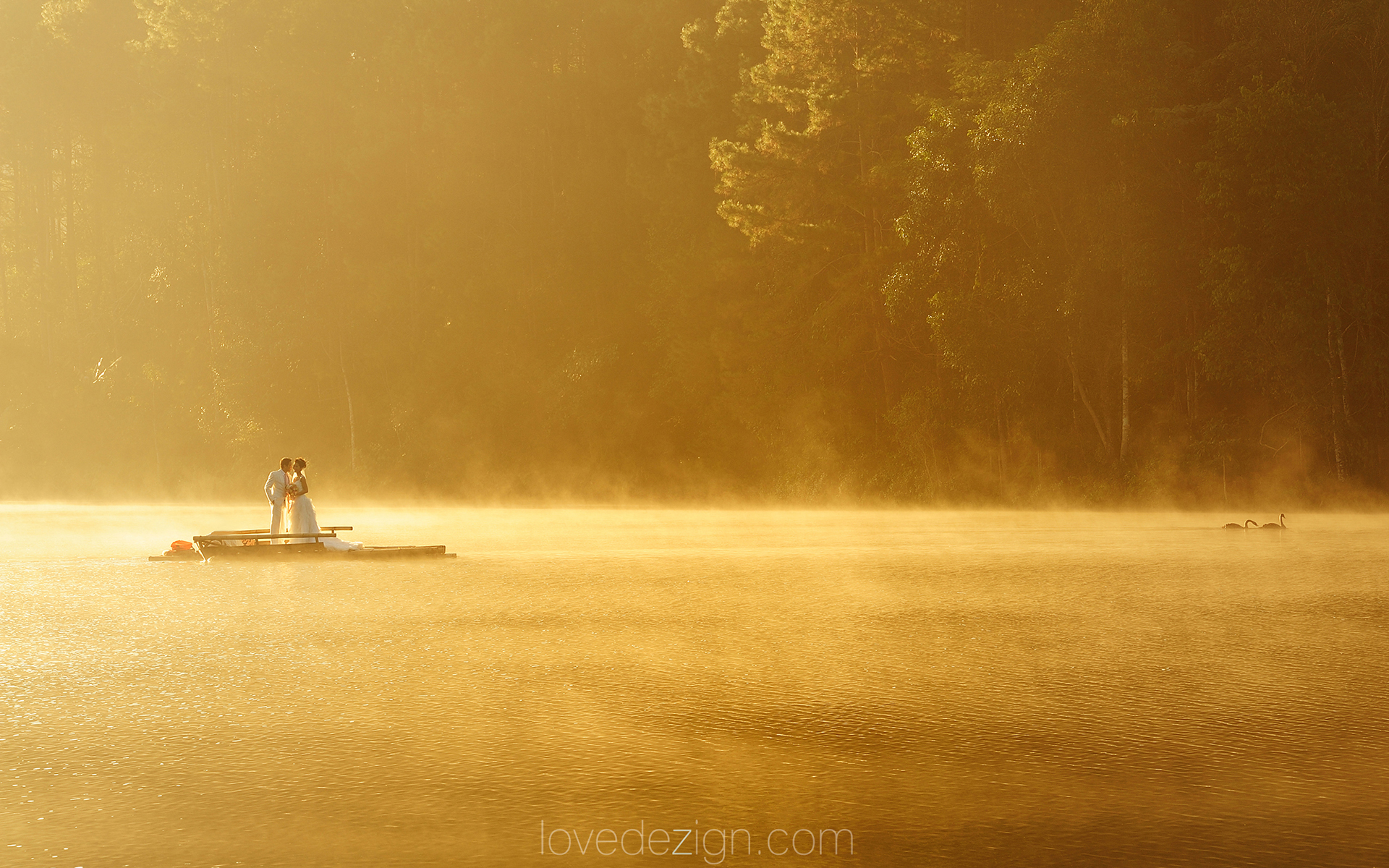 Phuket photographer