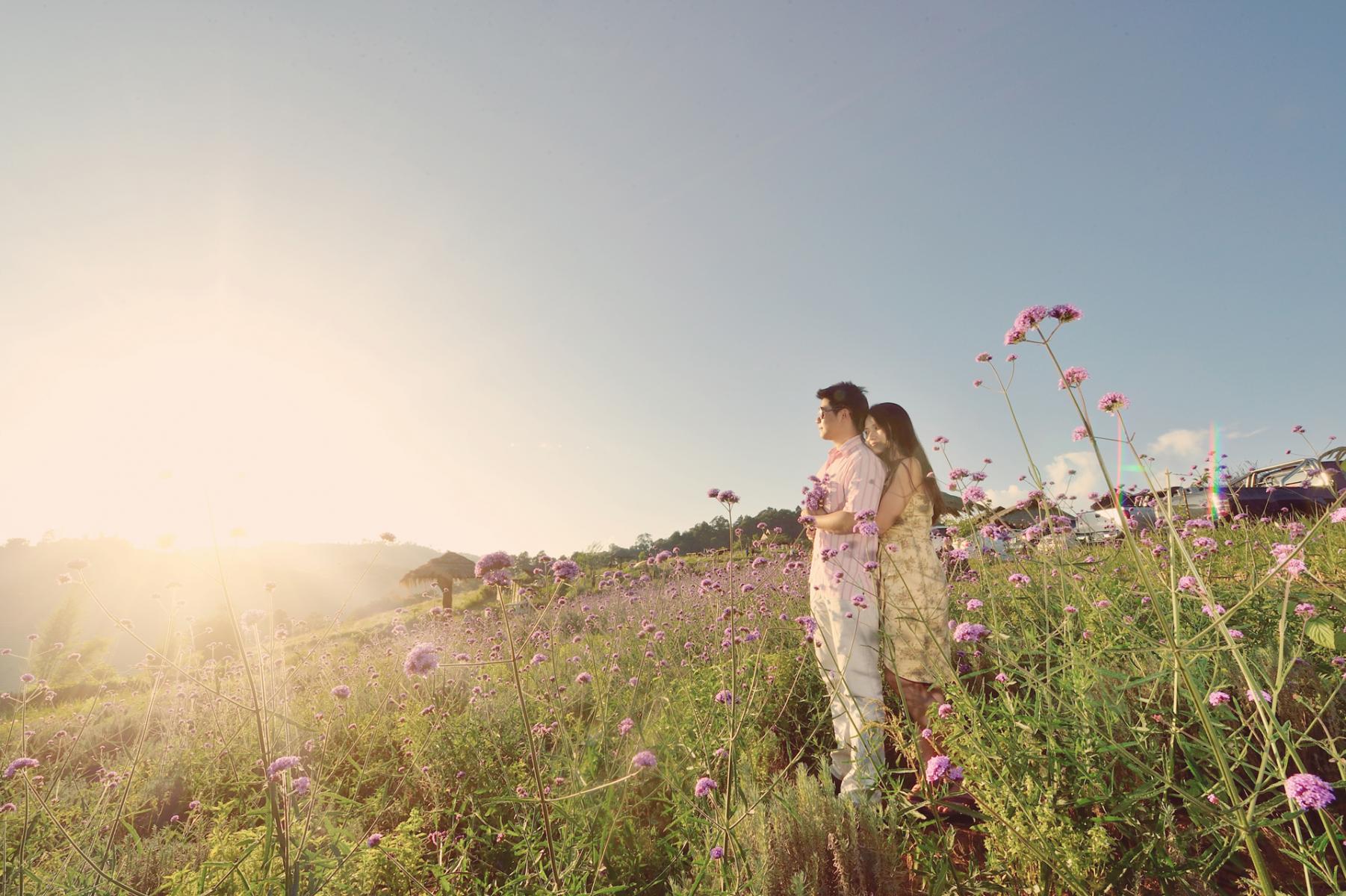 pre wedding photos